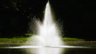 How to Choose the Right Floating Fountain for Your Pond