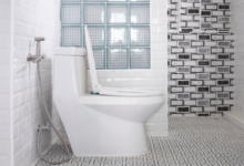 Innovation in Bathroom Fitting: Understanding One-Piece Water Closets