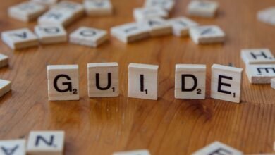 a beginner s guide unveiled