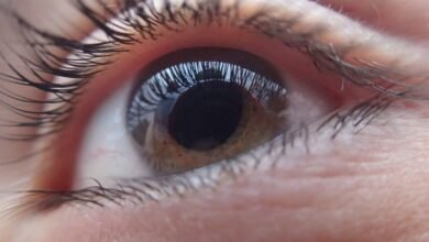 can you see what
