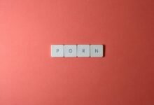 complete guide to bokepimd availability